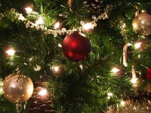 christmas tree sho YFMd